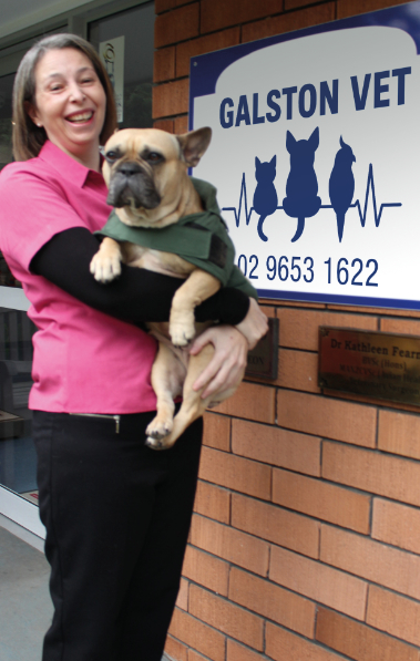 Dr Sandra Read - The Galston Vet