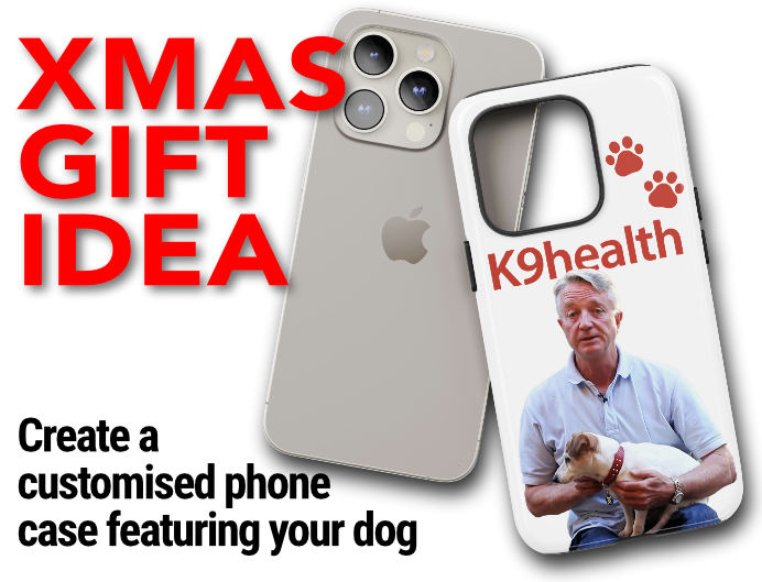 Great doggy present