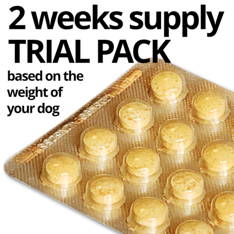 CURCUPET-K9 Trial Pack